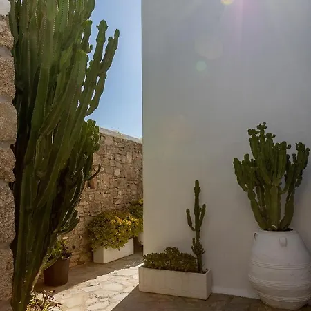Villa Horizon In